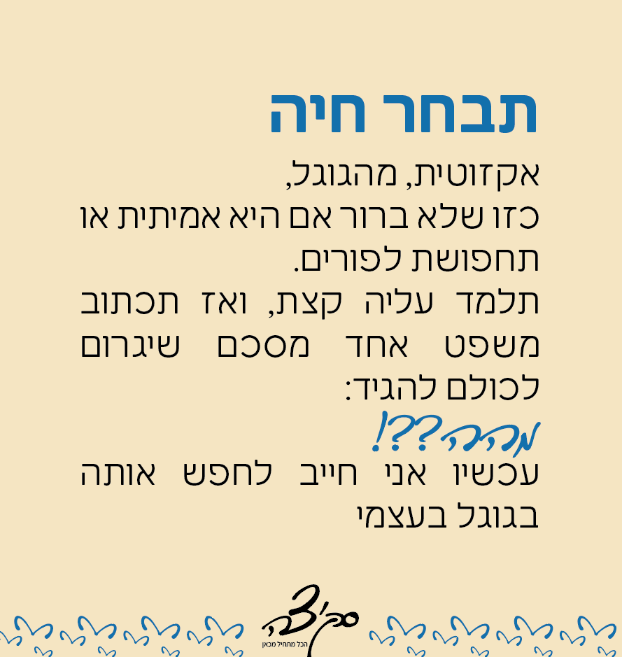 צילום מסך 2025-05-19 125041